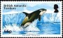 动物:南极洲:英属南极:bat201505.jpg