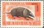 动物:南美洲:乌拉圭:uy197003.jpg