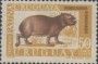 动物:南美洲:乌拉圭:uy197005.jpg