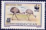 动物:南美洲:乌拉圭:uy199304.jpg