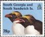 动物:南美洲:南乔治亚:gs199304.jpg