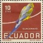 动物:南美洲:厄瓜多尔:ec195801.jpg