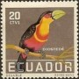 动物:南美洲:厄瓜多尔:ec195802.jpg