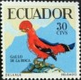 动物:南美洲:厄瓜多尔:ec195806.jpg