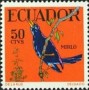 动物:南美洲:厄瓜多尔:ec195807.jpg