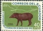 动物:南美洲:厄瓜多尔:ec196002.jpg