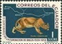 动物:南美洲:厄瓜多尔:ec196004.jpg