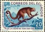 动物:南美洲:厄瓜多尔:ec196102.jpg