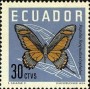 动物:南美洲:厄瓜多尔:ec196106.jpg