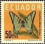动物:南美洲:厄瓜多尔:ec196107.jpg