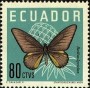动物:南美洲:厄瓜多尔:ec196108.jpg