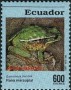 动物:南美洲:厄瓜多尔:ec199305.jpg
