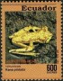 动物:南美洲:厄瓜多尔:ec199306.jpg