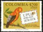 动物:南美洲:哥伦比亚:co197403.jpg
