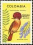动物:南美洲:哥伦比亚:co197706.jpg