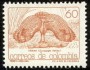 动物:南美洲:哥伦比亚:co199004.jpg
