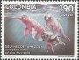 动物:南美洲:哥伦比亚:co199103.jpg