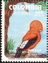 动物:南美洲:哥伦比亚:co199303.jpg