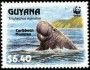 动物:南美洲:圭亚那:gy199301.jpg