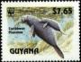 动物:南美洲:圭亚那:gy199302.jpg