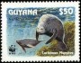 动物:南美洲:圭亚那:gy199304.jpg