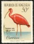 动物:南美洲:委内瑞拉:ve196103.jpg