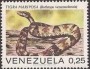 动物:南美洲:委内瑞拉:ve197203.jpg