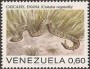 动物:南美洲:委内瑞拉:ve197205.jpg