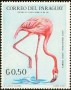 动物:南美洲:巴拉圭:py196906.jpg