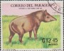 动物:南美洲:巴拉圭:py196917.jpg