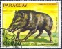 动物:南美洲:巴拉圭:py198402.jpg