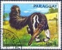 动物:南美洲:巴拉圭:py198406.jpg