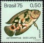 动物:南美洲:巴西:br197501.jpg
