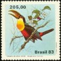 动物:南美洲:巴西:br198303.jpg
