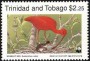 动物:南美洲:特立尼达和多巴哥:tt199004.jpg