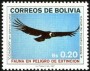 动物:南美洲:玻利维亚:bo198701.jpg