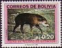 动物:南美洲:玻利维亚:bo198702.jpg