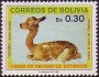 动物:南美洲:玻利维亚:bo198703.jpg