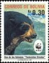 动物:南美洲:玻利维亚:bo199103.jpg