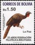 动物:南美洲:玻利维亚:bo200502.jpg