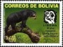 动物:南美洲:玻利维亚:bo200504.jpg
