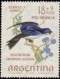 动物:南美洲:阿根廷:ar196402.jpg