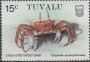 动物:大洋洲:图瓦卢:tv198605.jpg