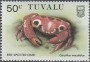 动物:大洋洲:图瓦卢:tv198607.jpg