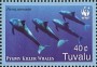 动物:大洋洲:图瓦卢:tv200601.jpg