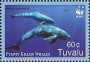 动物:大洋洲:图瓦卢:tv200602.jpg