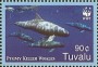 动物:大洋洲:图瓦卢:tv200603.jpg