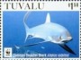 动物:大洋洲:图瓦卢:tv201603.jpg