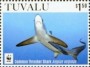 动物:大洋洲:图瓦卢:tv201604.jpg