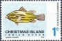 动物:大洋洲:圣诞岛:cx196801.jpg